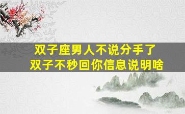 双子座男人不说分手了 双子不秒回你信息说明啥
